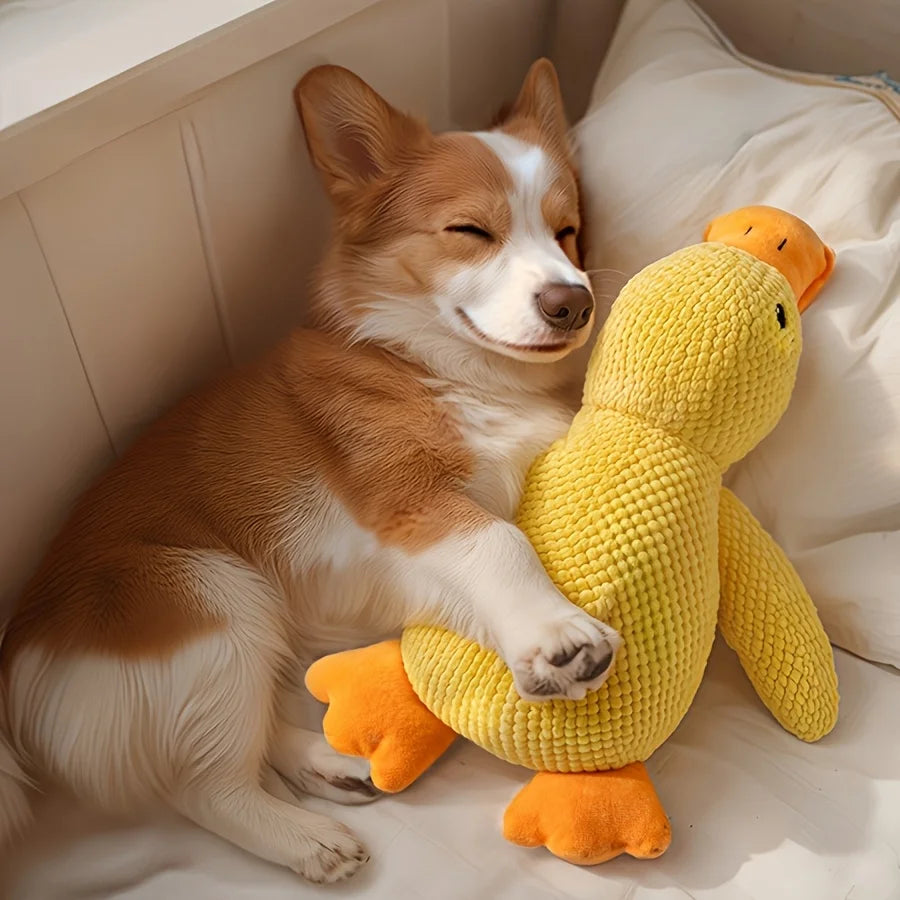 Plush Dog Toy