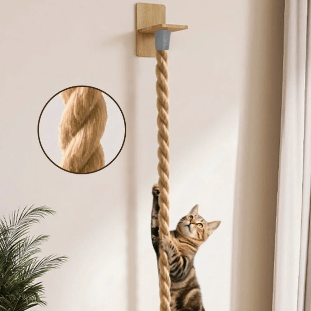Sisal Rope for Cats
