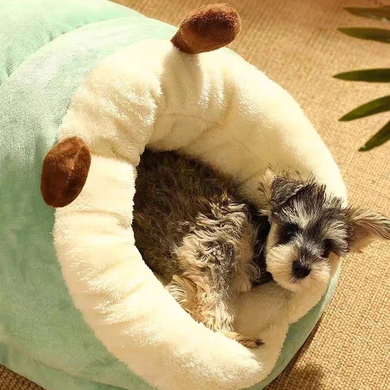 Warm Plush Bed