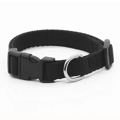 Urban Canine Collar