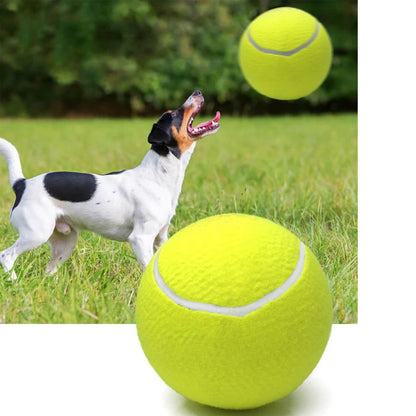 Large Tennis Balls