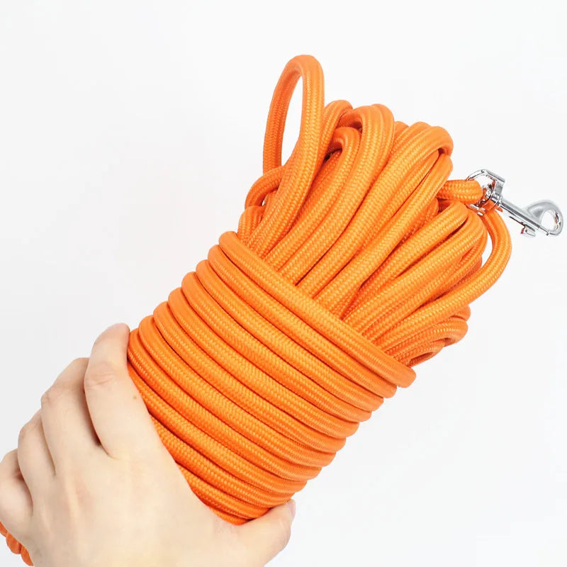 Strong Nylon Leash