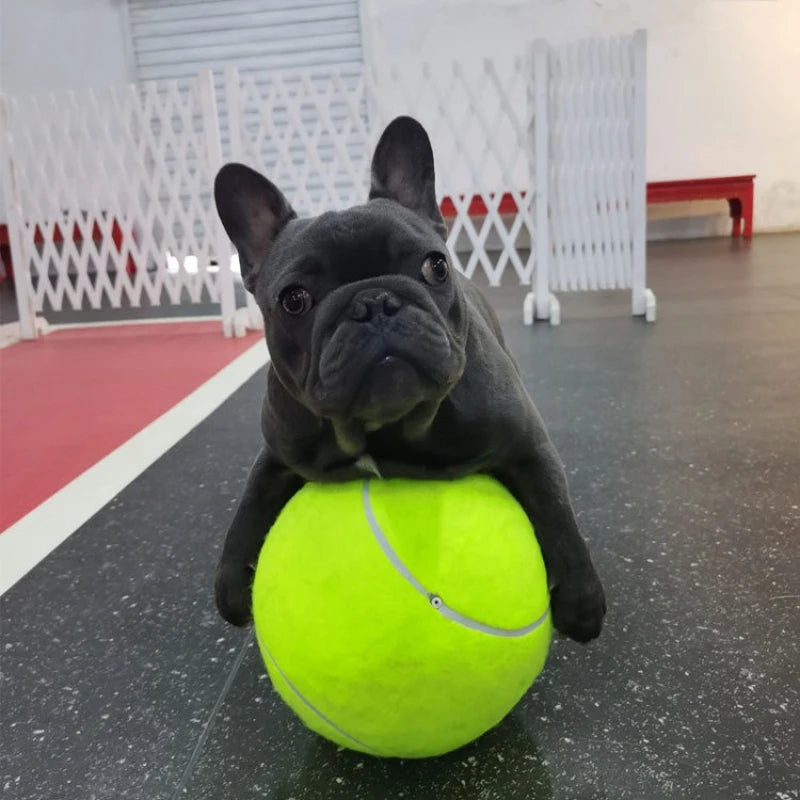 Large Tennis Balls