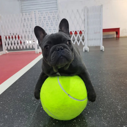 Large Tennis Balls