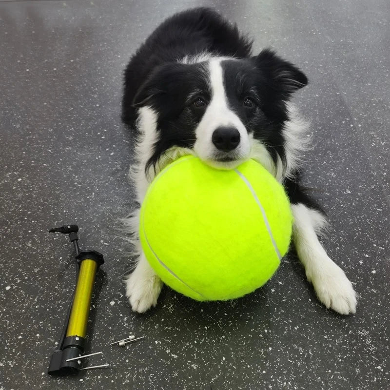 Large Tennis Balls