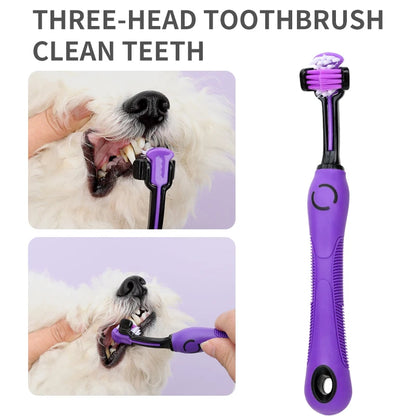 Portable Dog Grooming Kit